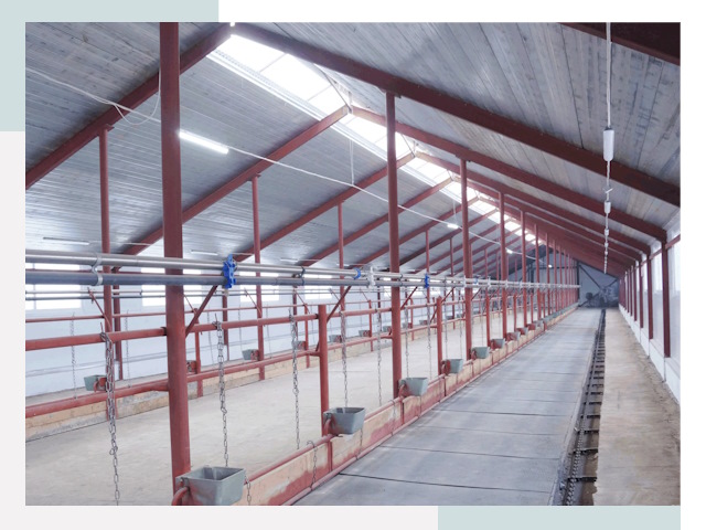 Строительство коровников в Дубне от 613 руб.