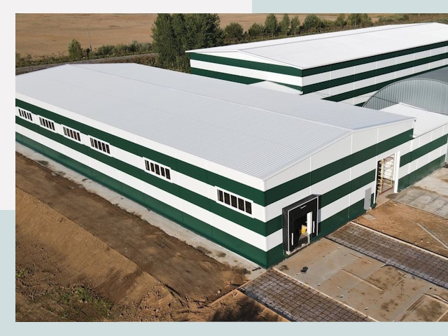 Строительство овощехранилищ в Дубне