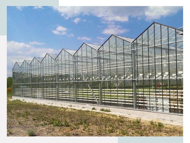Строительство теплиц в Дубна от 613 руб. за м²