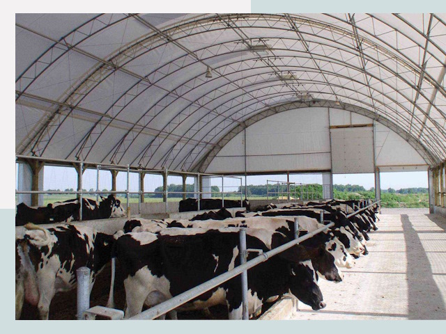 Тентовые коровники в Дубне